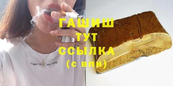 индика Нягань