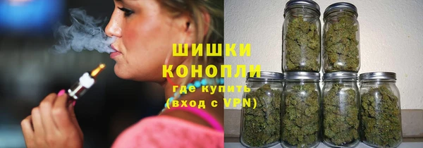 индика Нягань