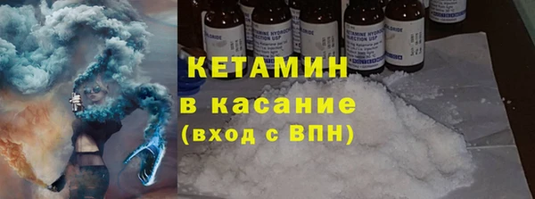 индика Нягань