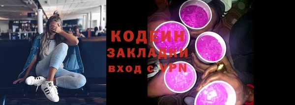 соль ск Няндома
