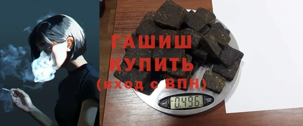 индика Нягань