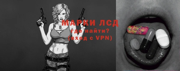 индика Нягань