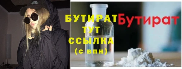 индика Нягань