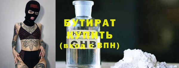 индика Нягань