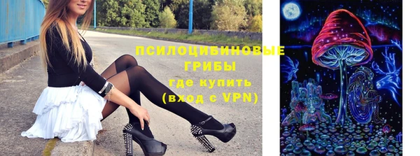 apvp Новодвинск
