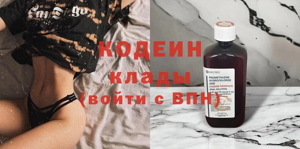 индика Нягань