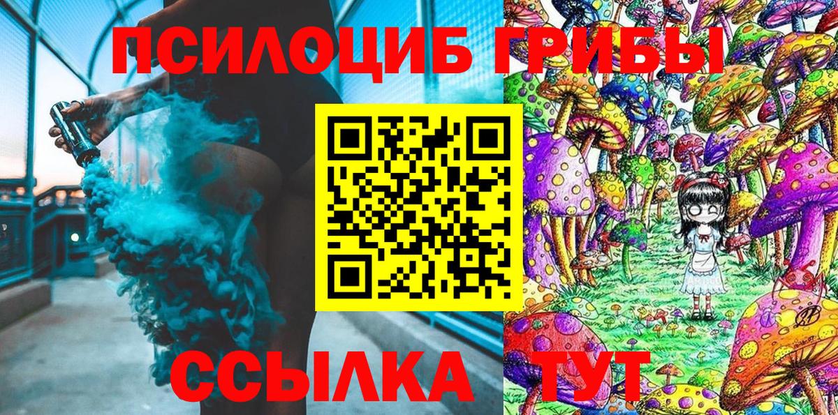 Псилоцибиновые грибы Psilocybe Майский