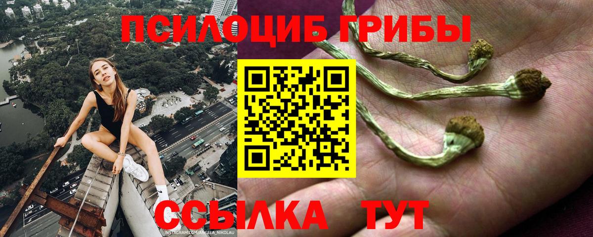 Галлюциногенные грибы прущие грибы  Галлюциногенные грибы Cubensis  Майский  купить наркоту  Вход с VPN 
